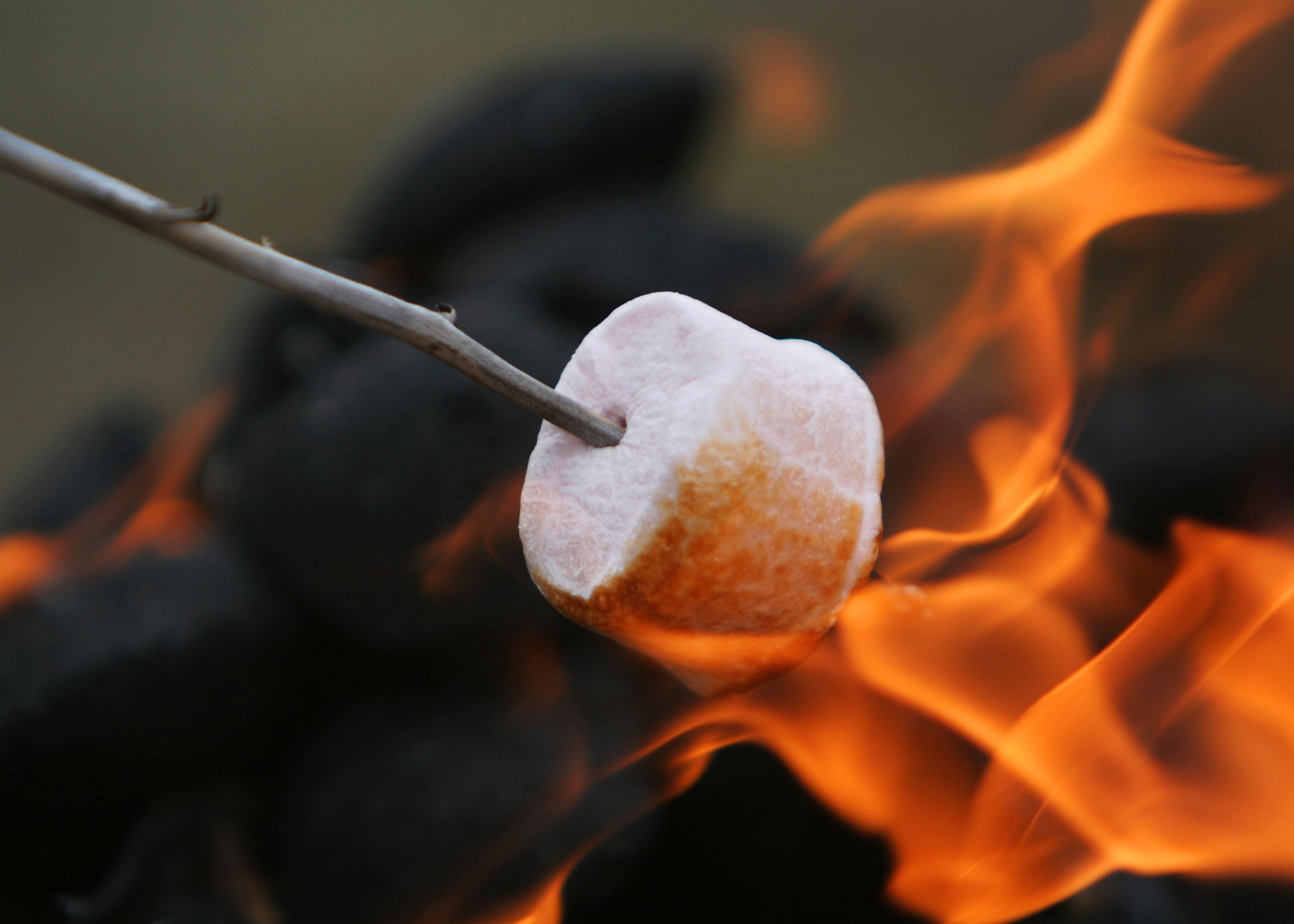 Bonfire Gathering Scented Soy Candles, Wax Melts, Fragrance Oil