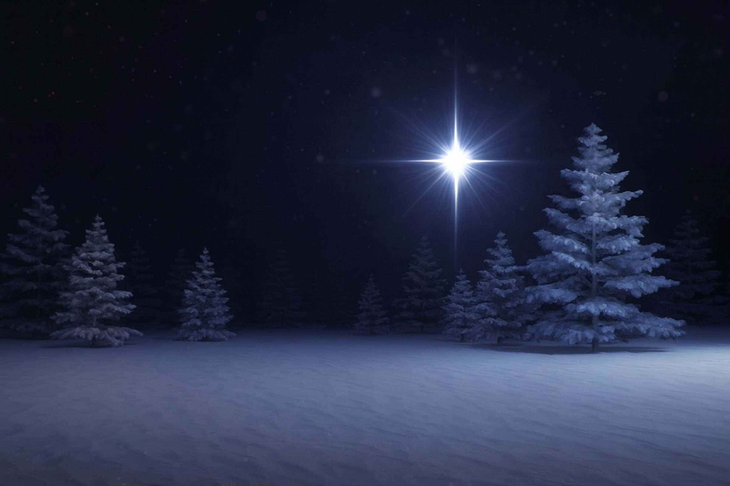 Silent Night Fragrance Scented Natural Wax Candles & Melts