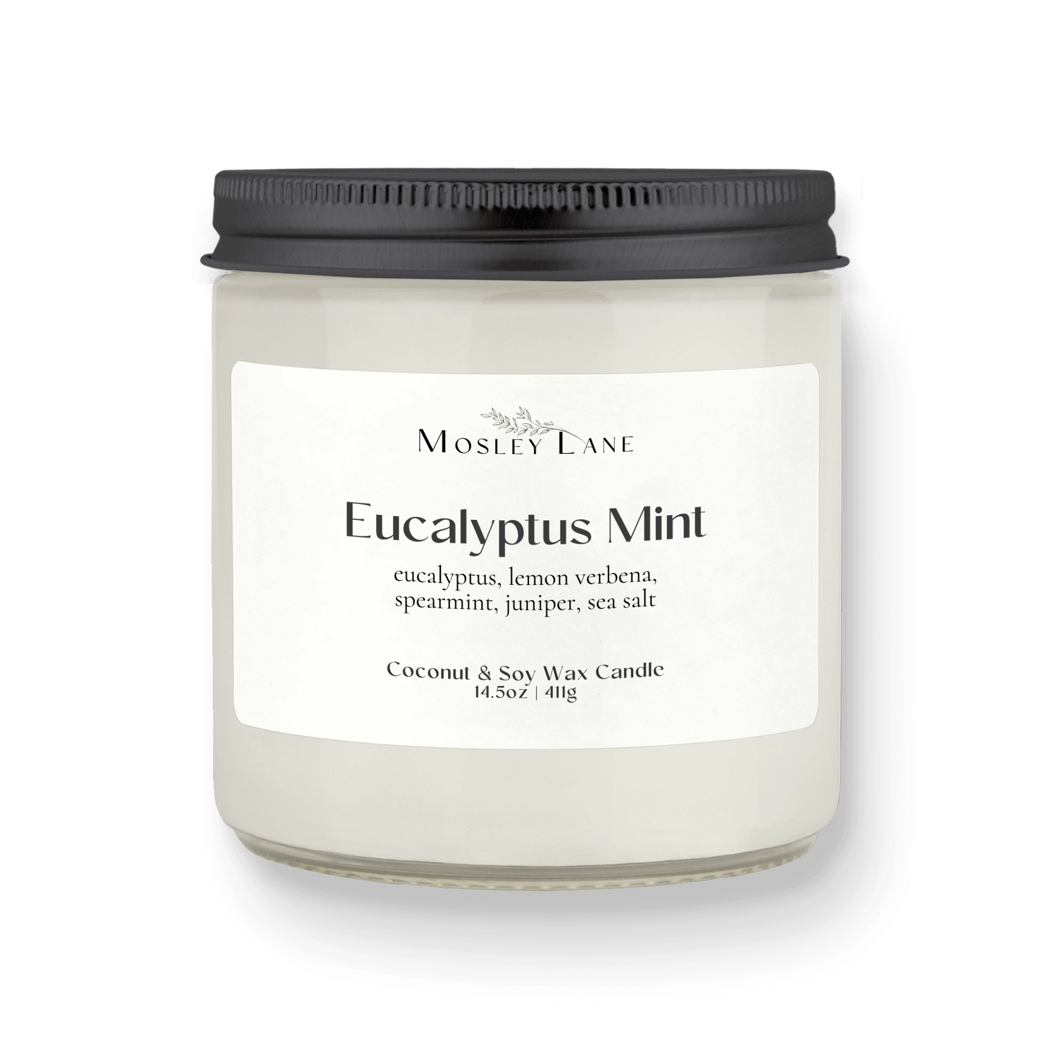 Eucalyptus Mint · Studio · Coconut & Soy Candle