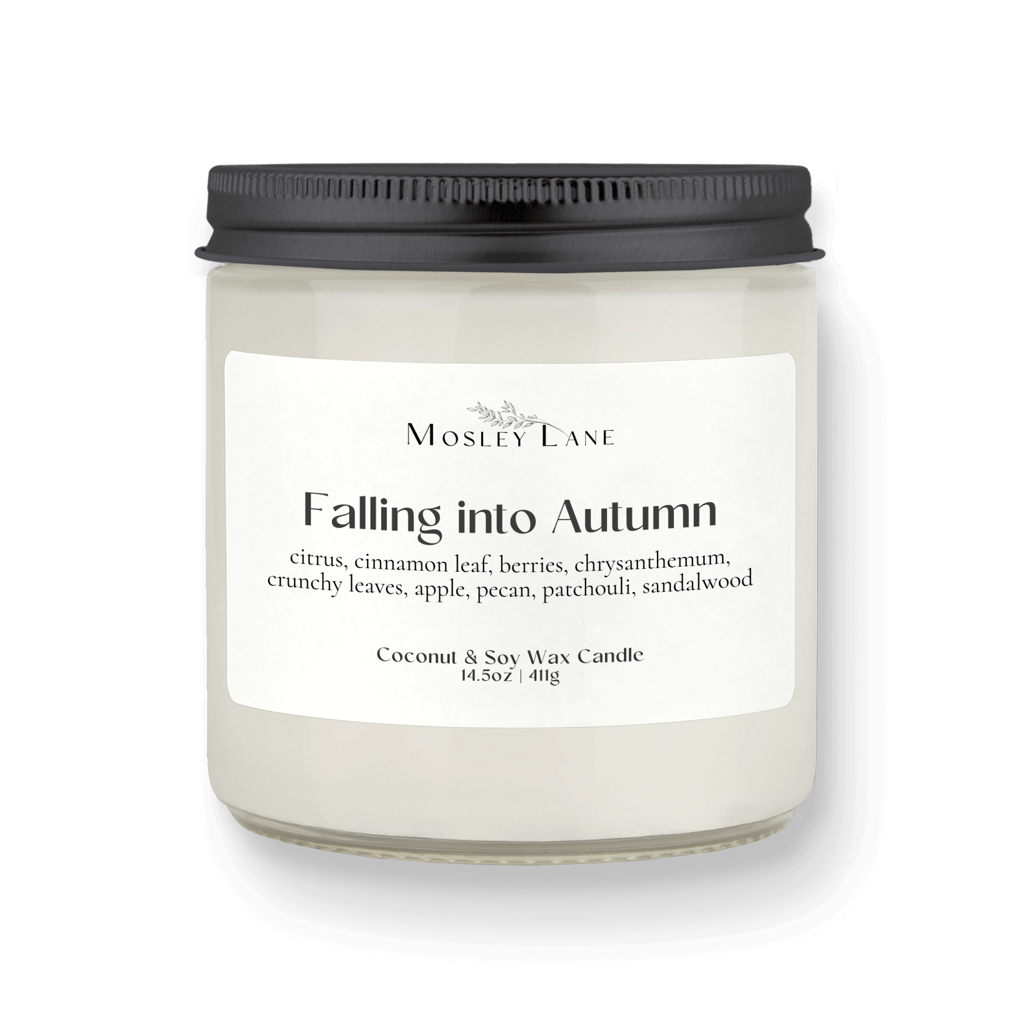 Falling Into Autumn · Studio · Coconut & Soy Candle