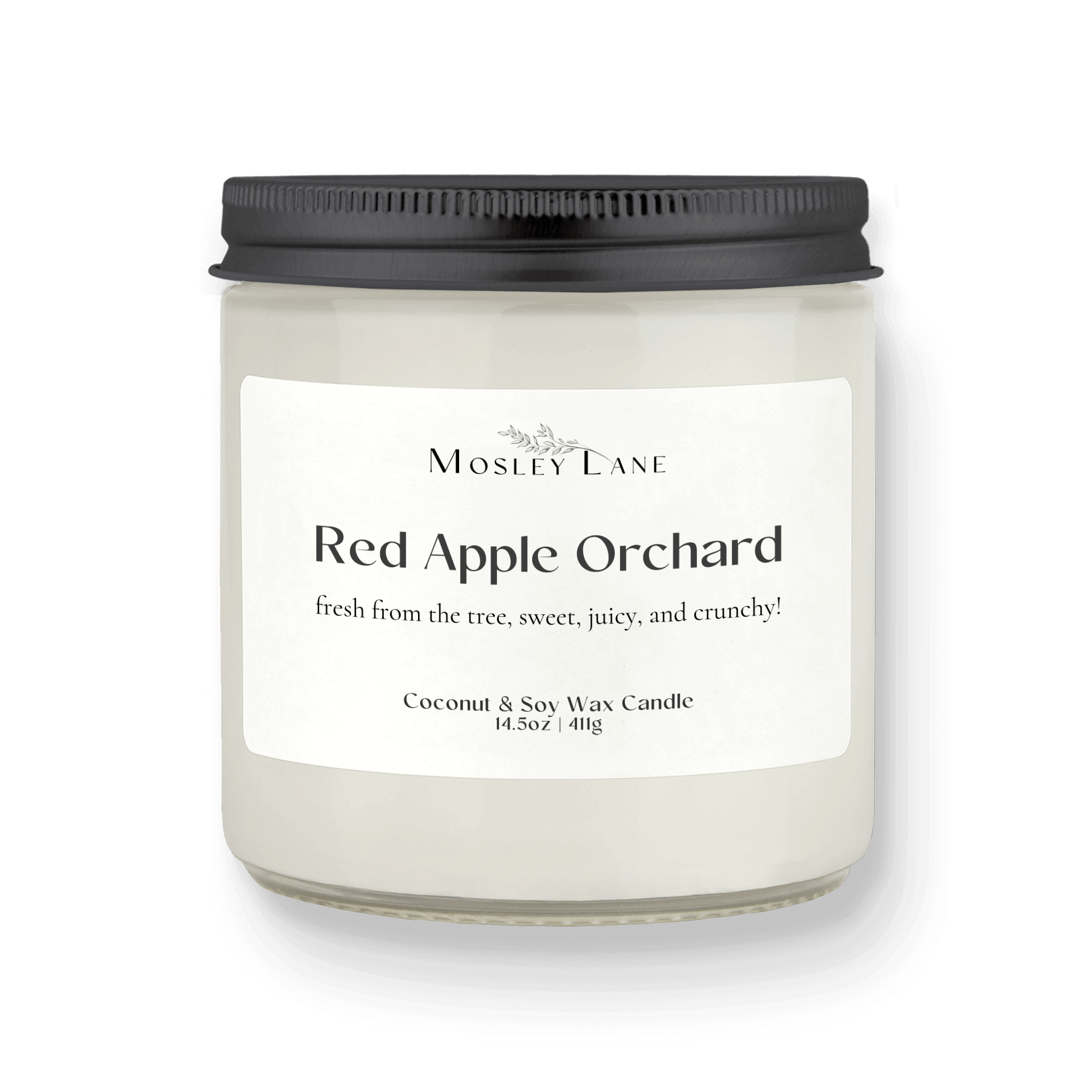 Red Apple Orchard · Studio · Coconut & Soy Candle