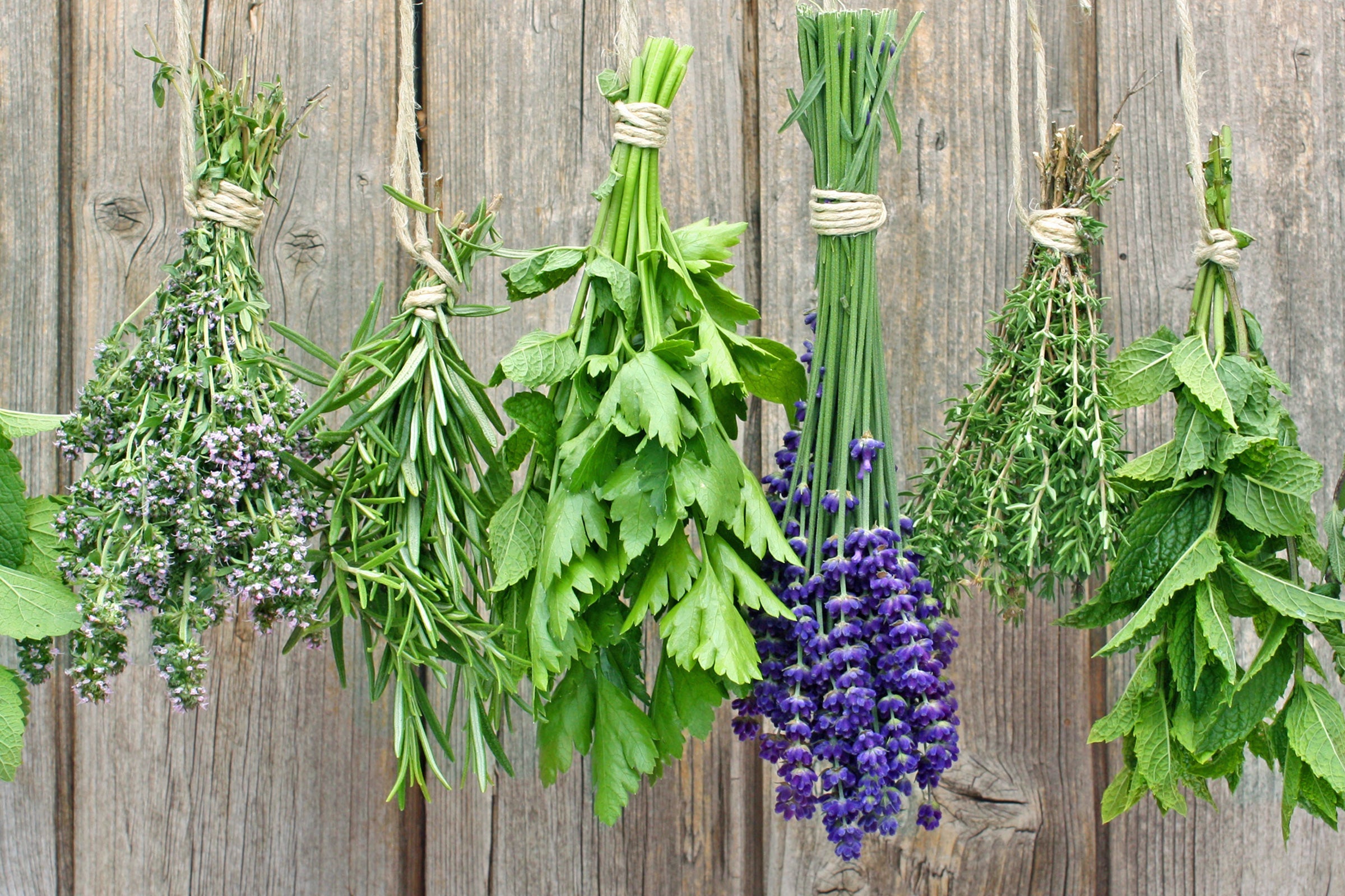 Apothecary - Scented Coconut & Soy Candles, Wax Melts and Fragrance Oil