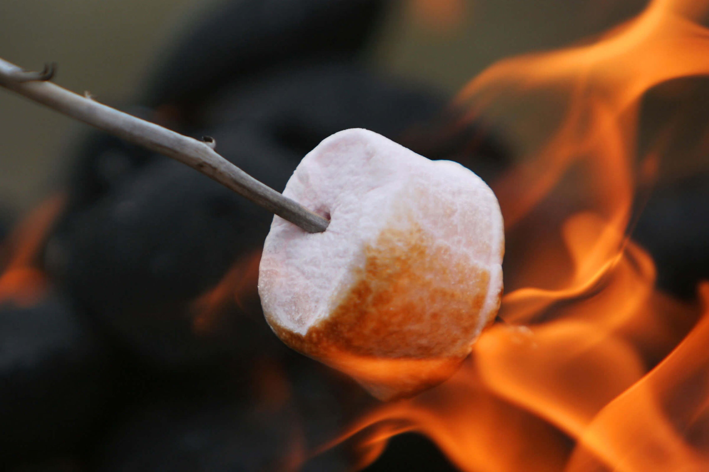 Bonfire Gathering - Scented Coconut & Soy Candles, Wax Melts and Fragrance Oil