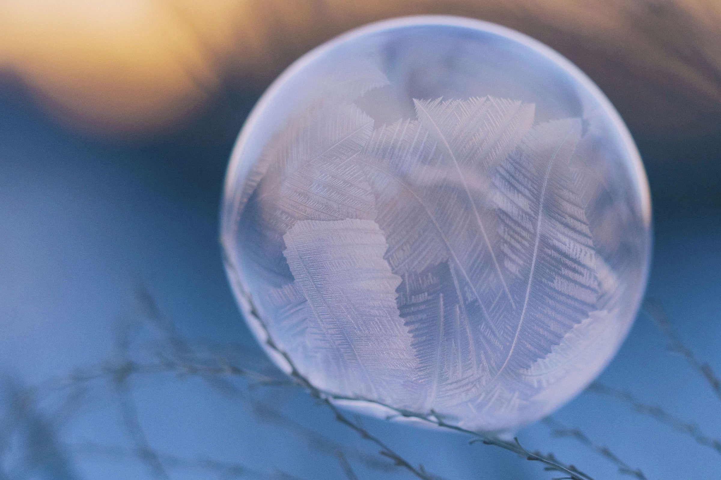 Free Spirit - Scented Coconut & Soy Candles, Wax Melts and Fragrance Oil