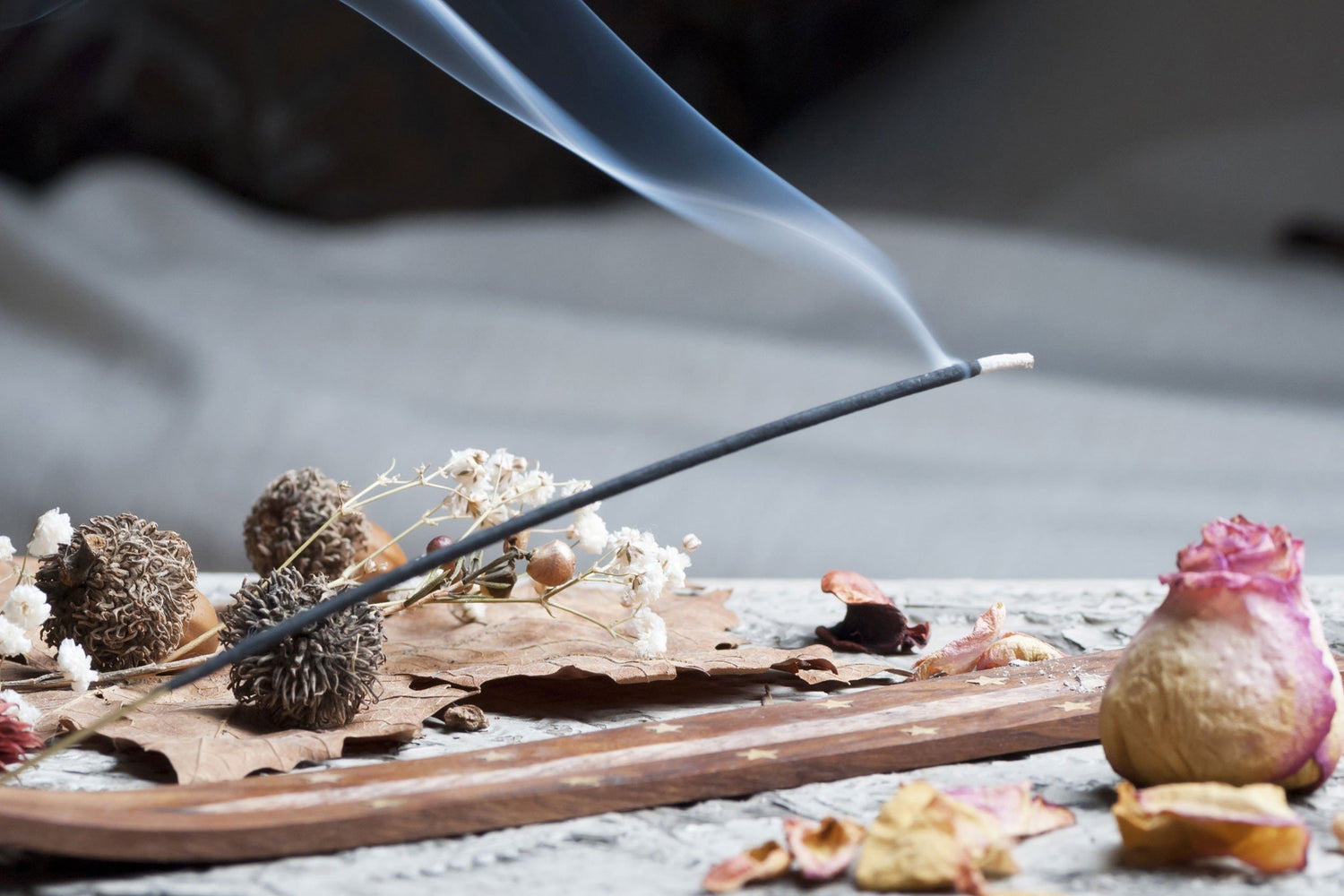 Renaissance - Scented Coconut &amp; Soy Candles, Wax Melts and Fragrance Oil