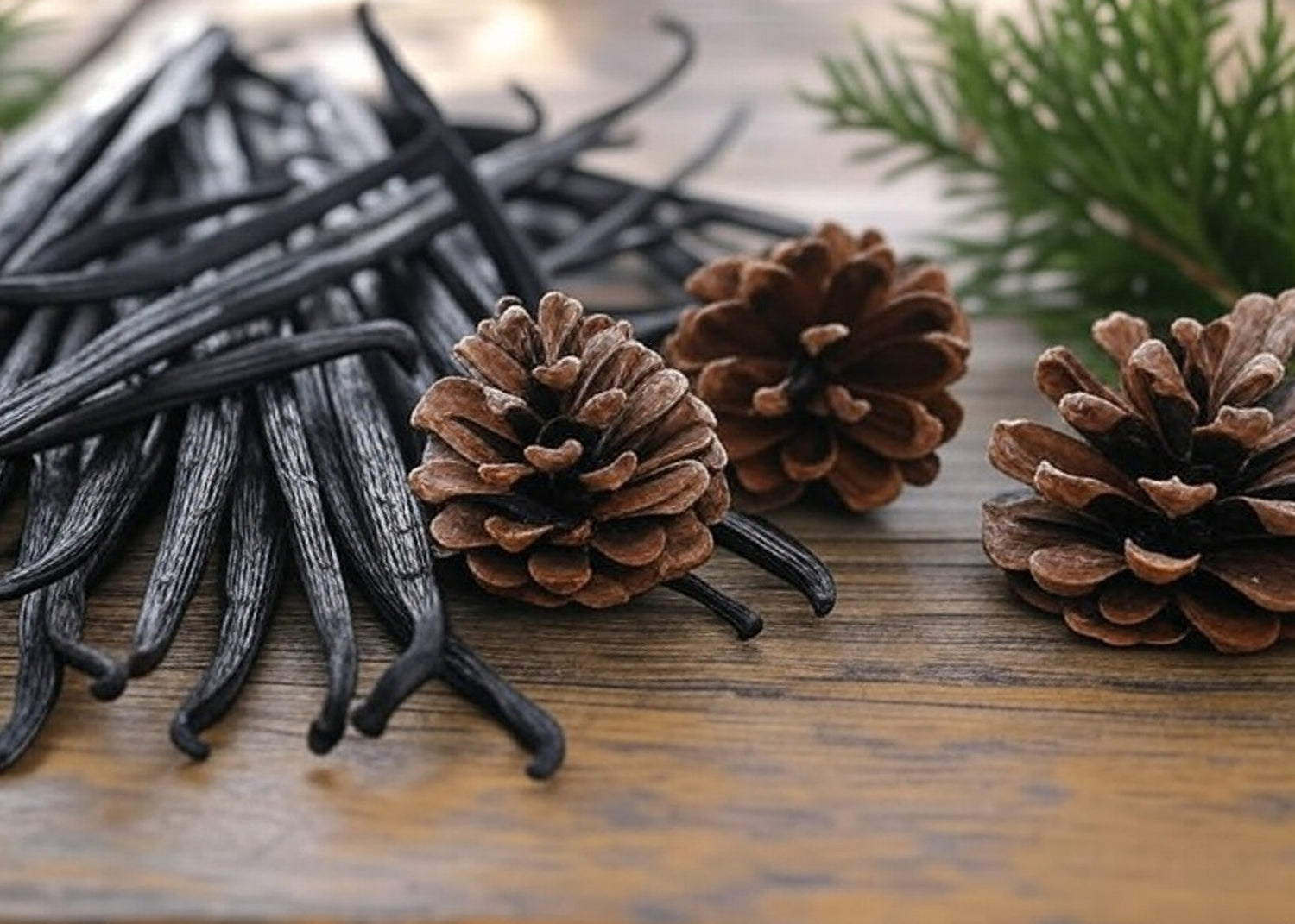 Vanilla Pine