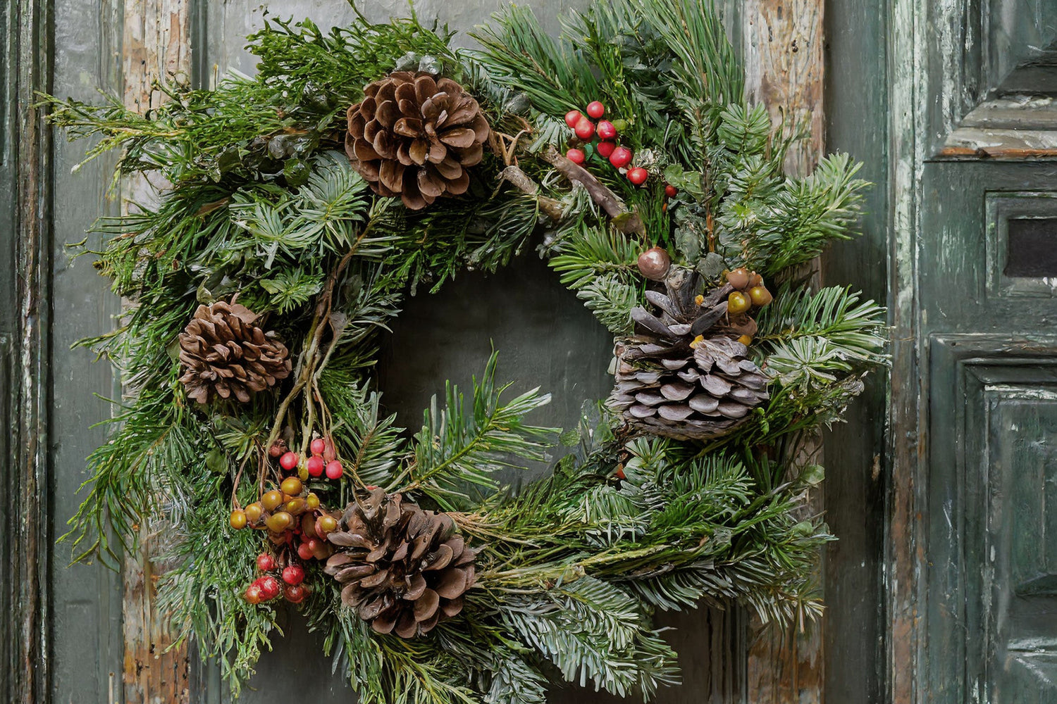 Evergreen &amp; Bayberry