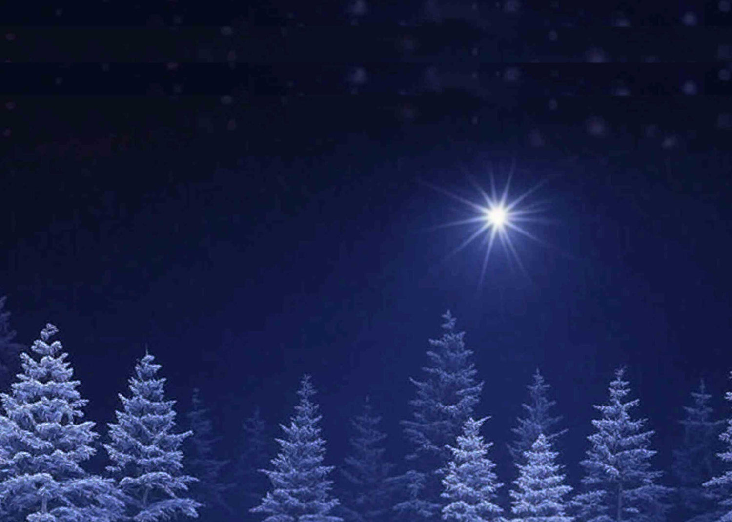 Silent Night Scented Soy Candles, Wax Melts, Fragrance Oil