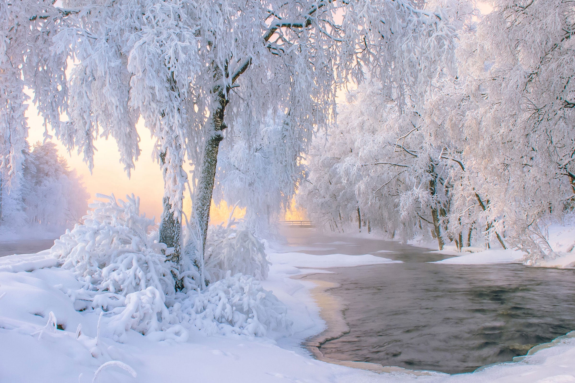 Snow-laden trees framing a quiet winter stream glowing softly at sunrise.