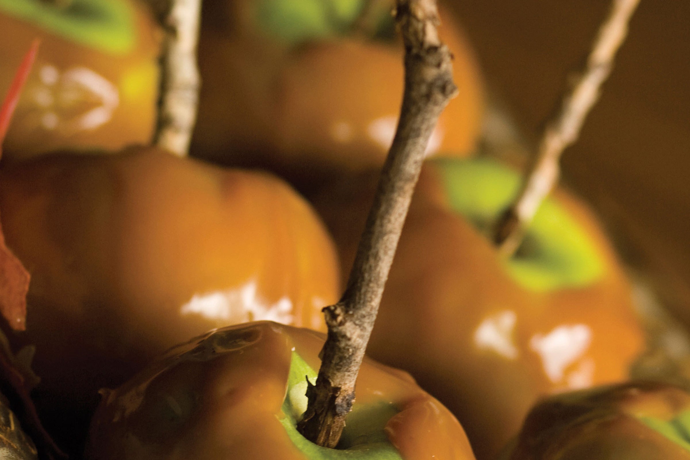 Caramel Bourbon Apple - Scented Coconut & Soy Candles, Wax Melts and Fragrance Oil