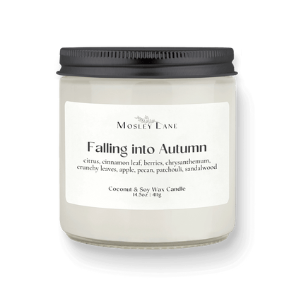 Falling Into Autumn · Studio · Coconut &amp; Soy Candle