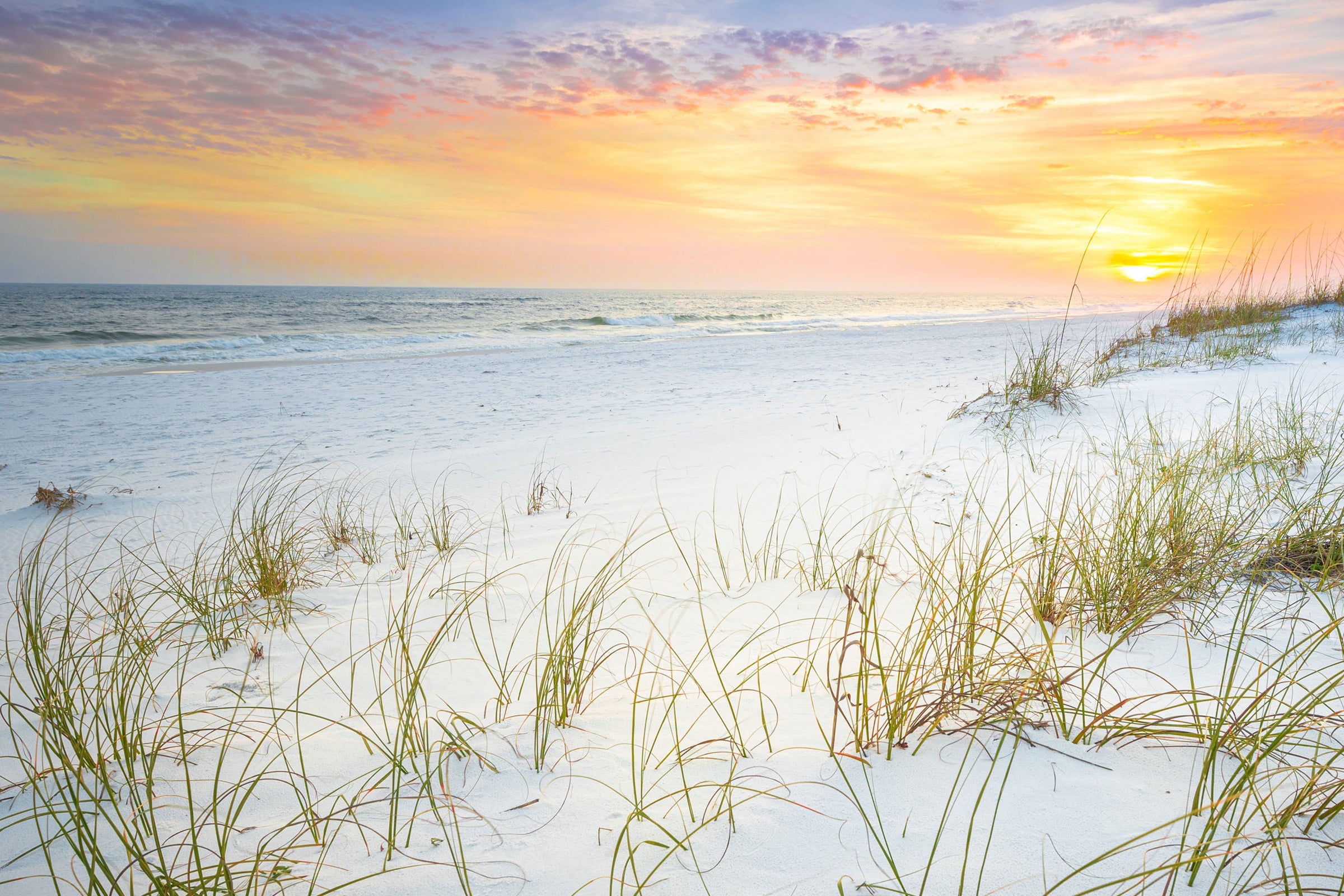 Seas the Day - Scented Coconut & Soy Candles, Wax Melts and Fragrance Oil