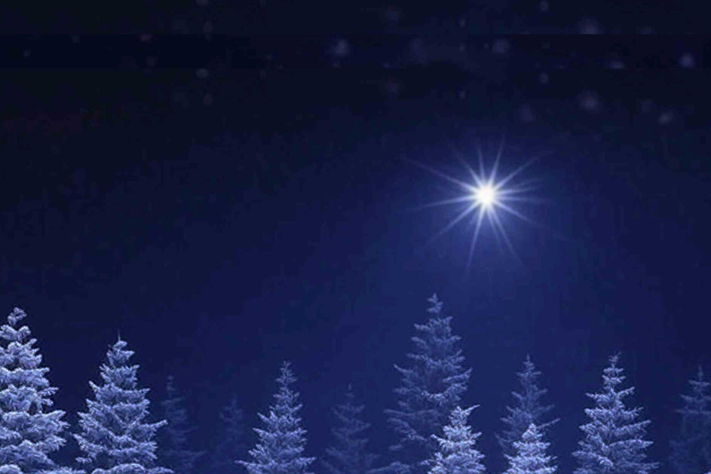 Silent Night - Scented Coconut & Soy Candles, Wax Melts and Fragrance Oil