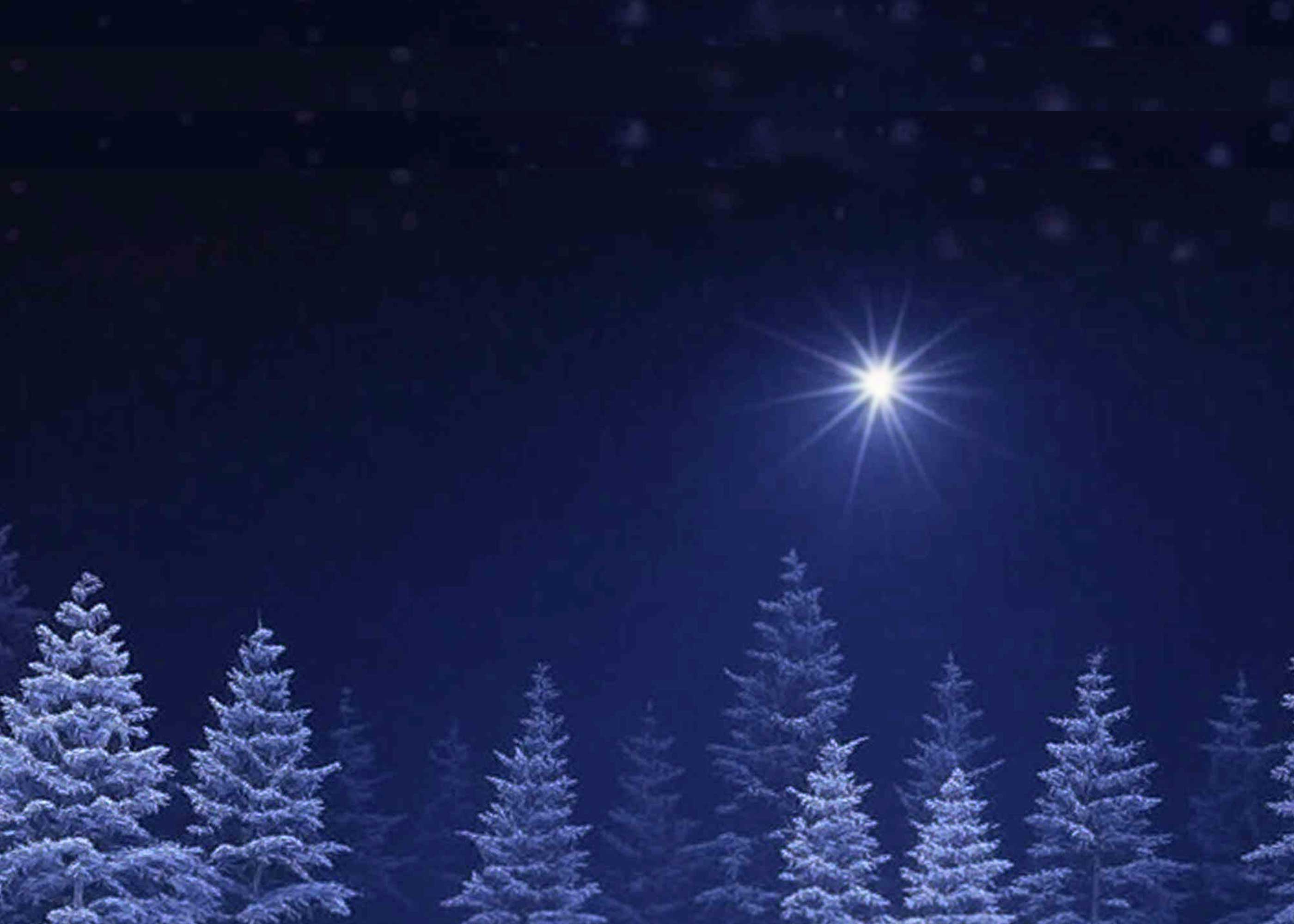 Silent Night - Scented Coconut & Soy Candles, Wax Melts and Fragrance Oil