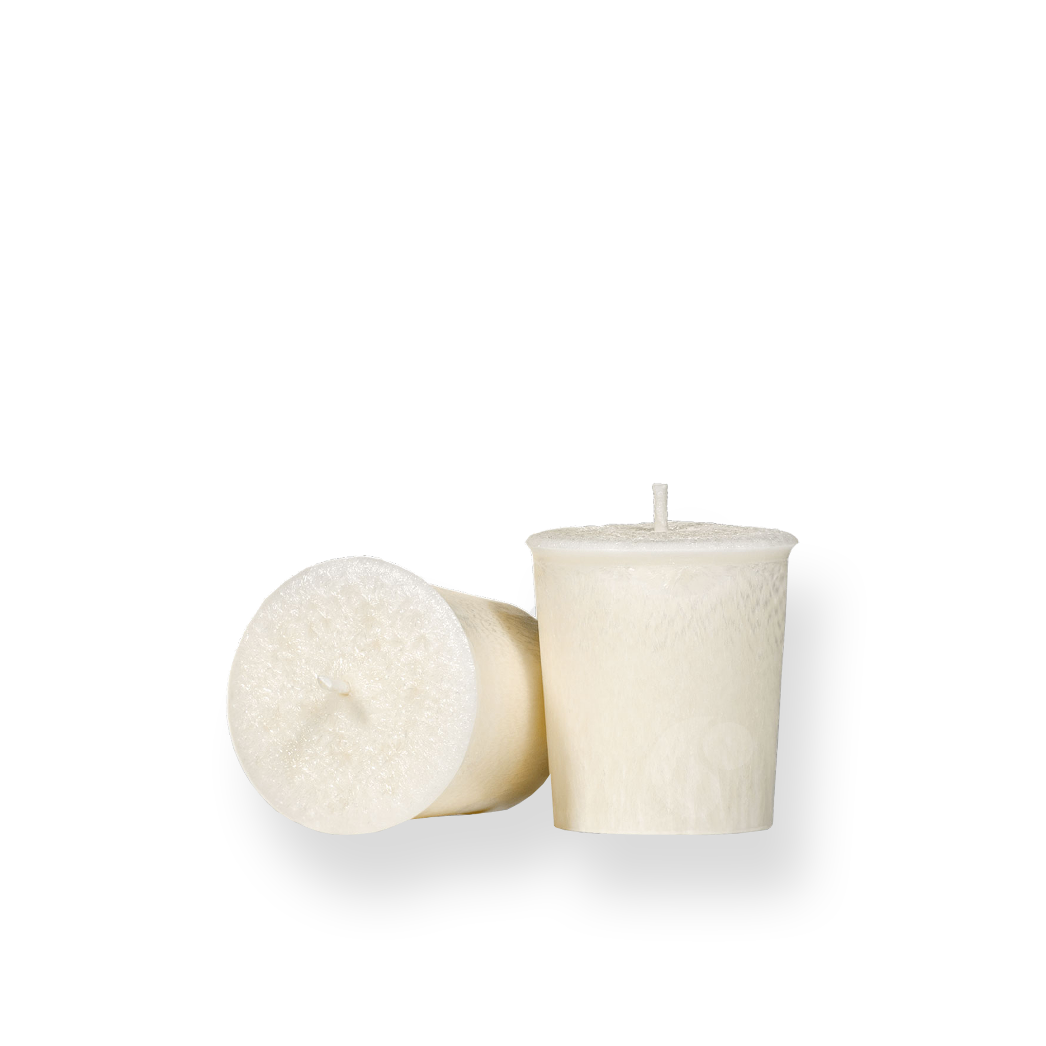 Feathered Palm Votive Candle - Set of Two