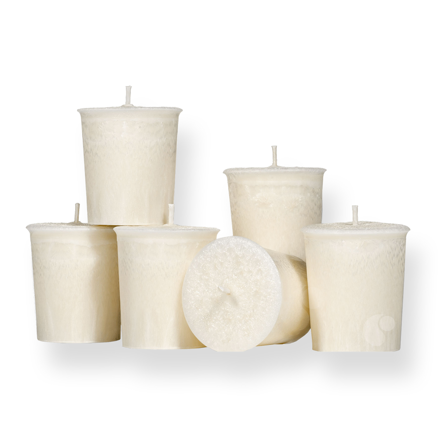 Feathered Palm Votive Candle - Set of Six