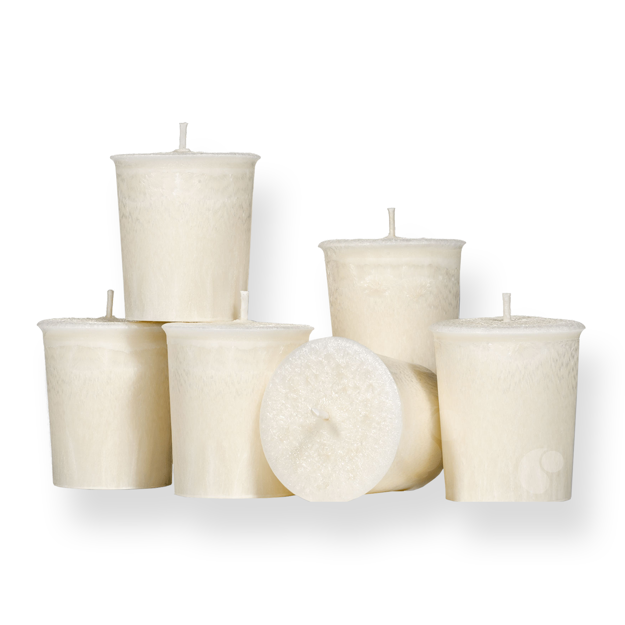 Feathered Palm Votive Candle - Set of Six