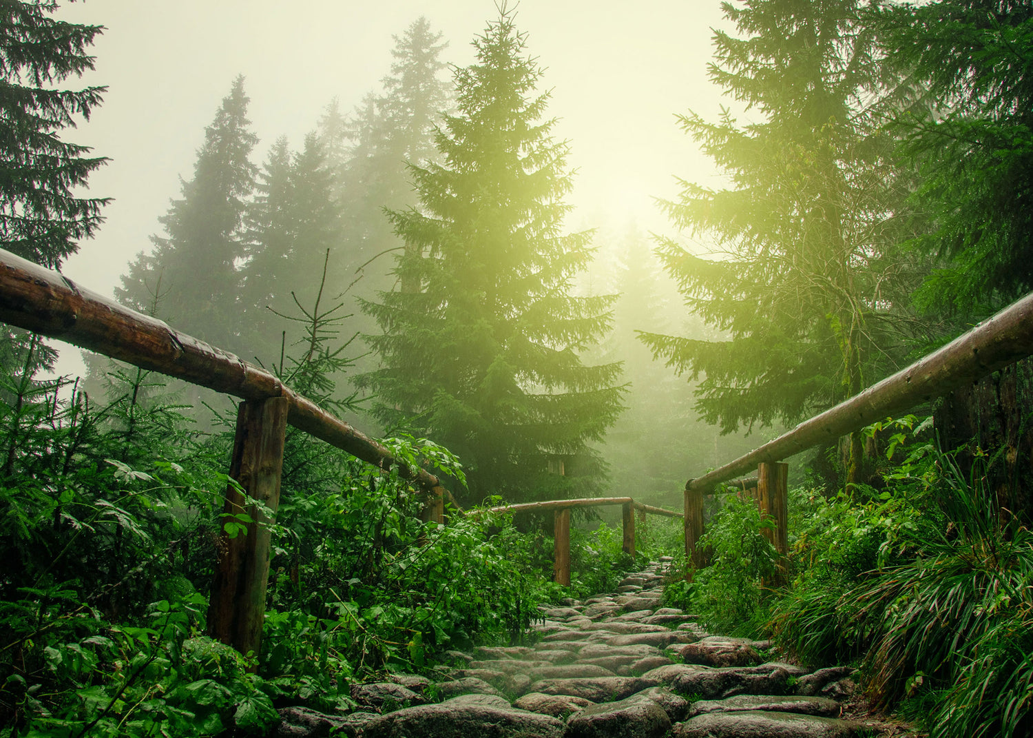 Walk in the Woods - Scented Coconut & Soy Candles, Wax Melts and Fragrance Oil