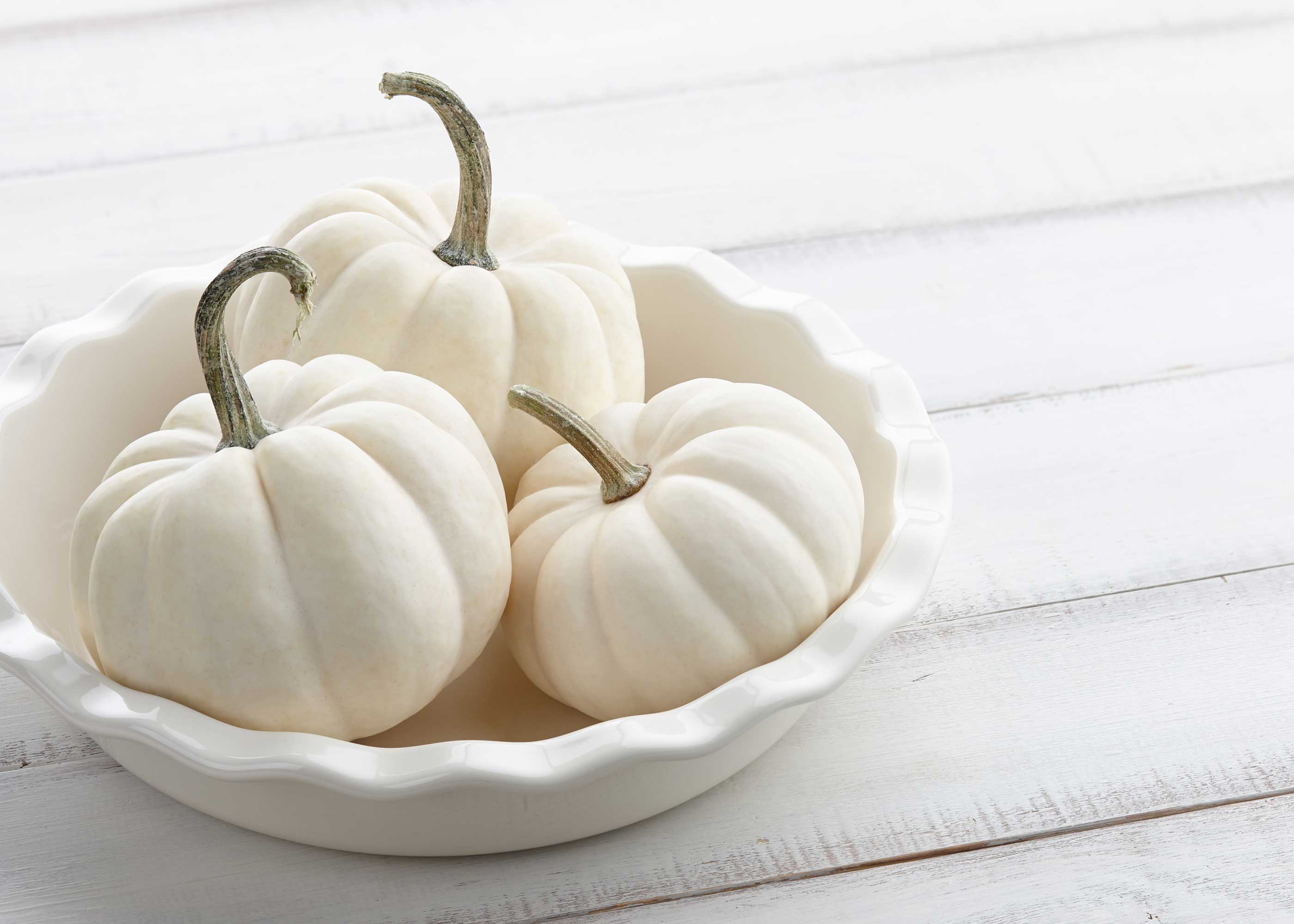 White Wood Pumpkin - Scented Coconut & Soy Candles, Wax Melts and Fragrance Oil