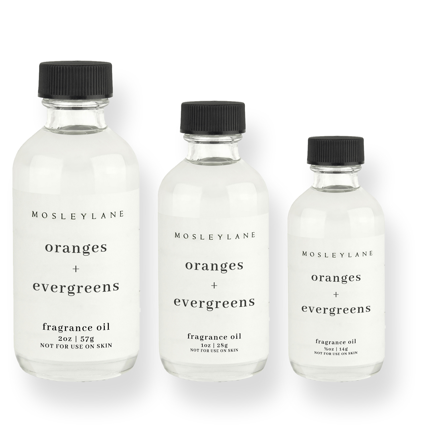 Oranges + Evergreens · Fragrance Oil