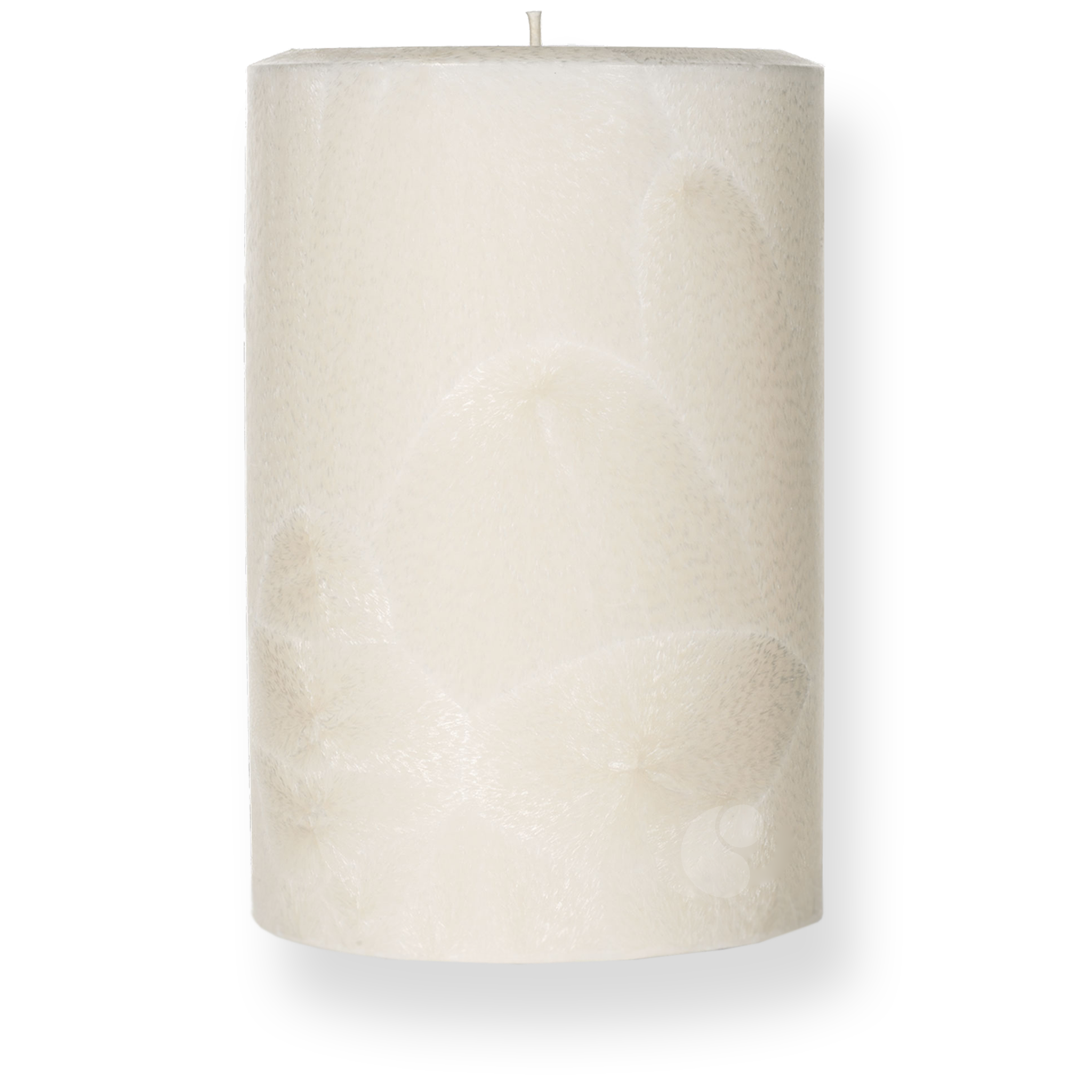Feathered Palm Pillar Candle · 4 x 6½