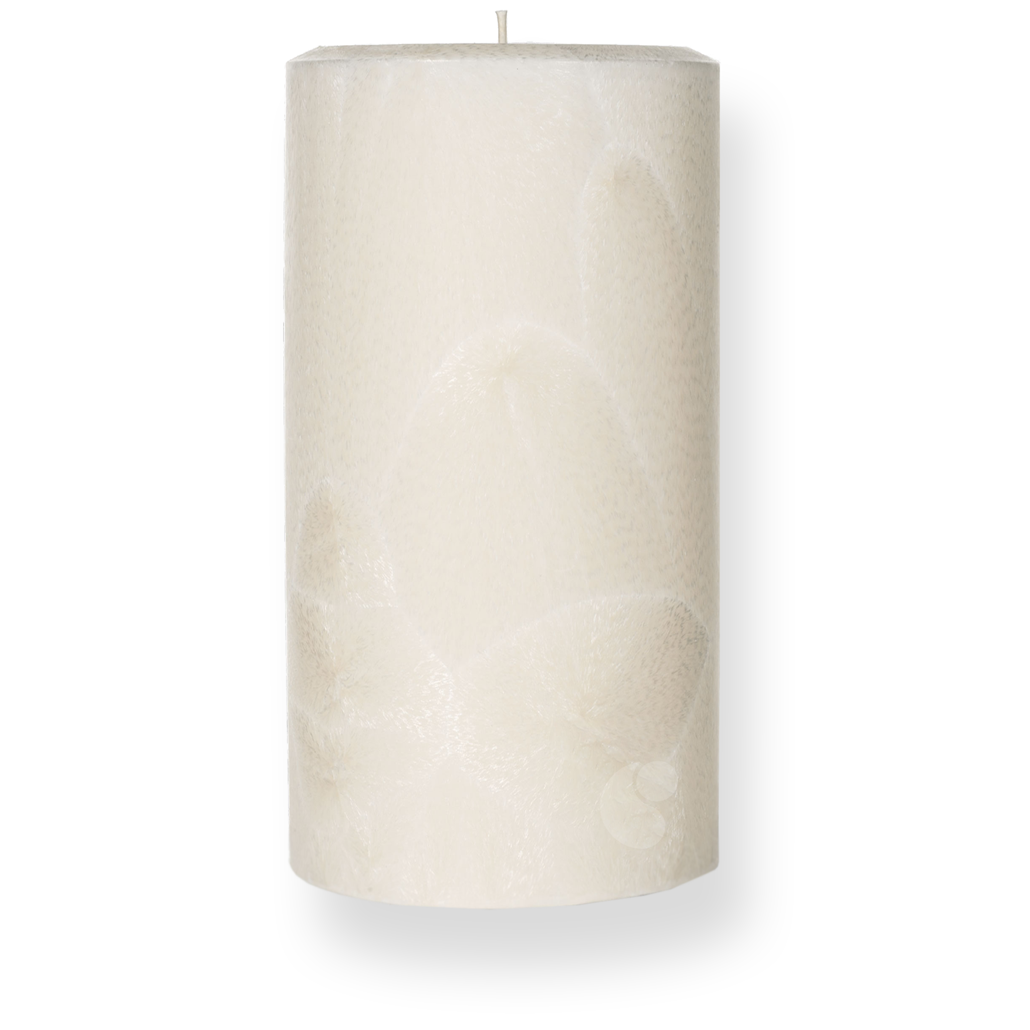 Cactus Blossom · Pillar Candle